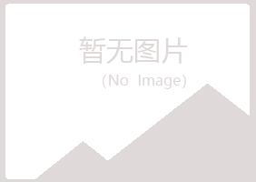 益阳赫山冰枫咨询有限公司